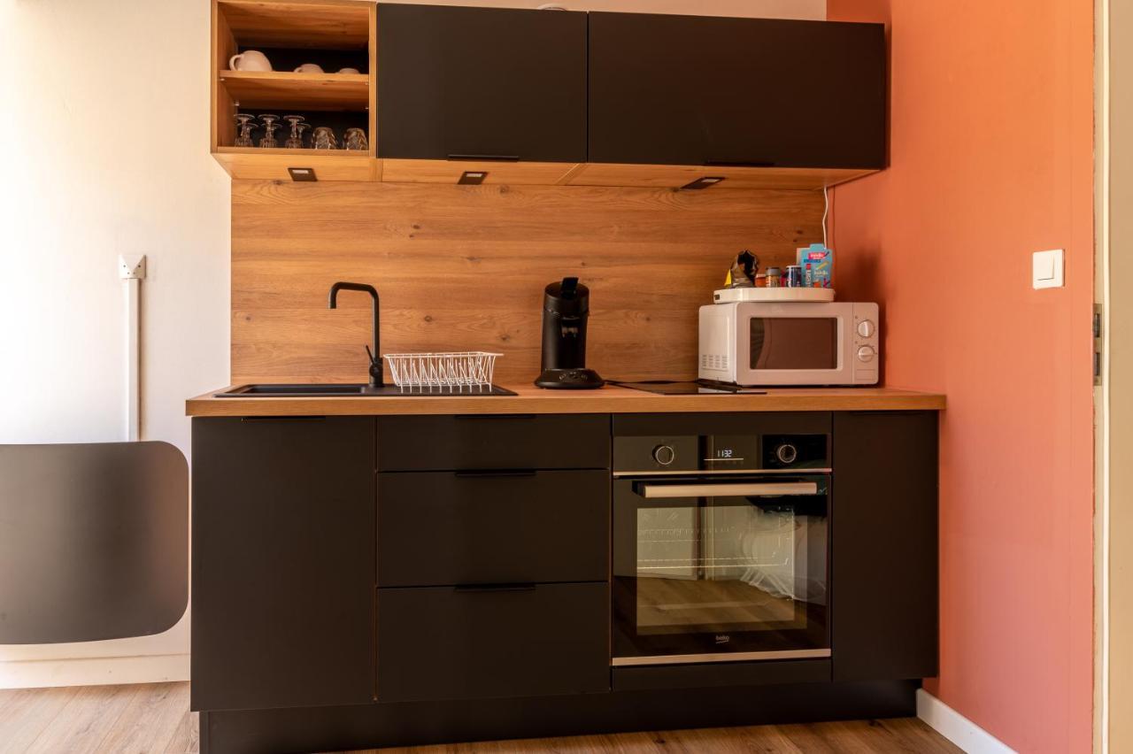 Appartement Cosy Avec Jardin Au Centre Historique De Selestat & Proche Europa-Park מראה חיצוני תמונה
