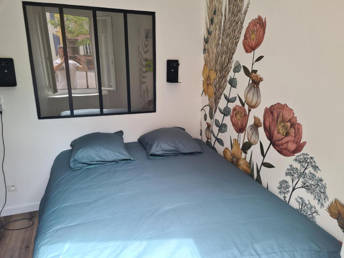 Appartement Cosy Avec Jardin Au Centre Historique De Selestat & Proche Europa-Park מראה חיצוני תמונה